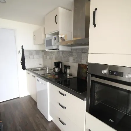Renove 3 Pieces, 6 Couchages A 150m Des Pistes - En Oisans - Fr-1-297-156 *
